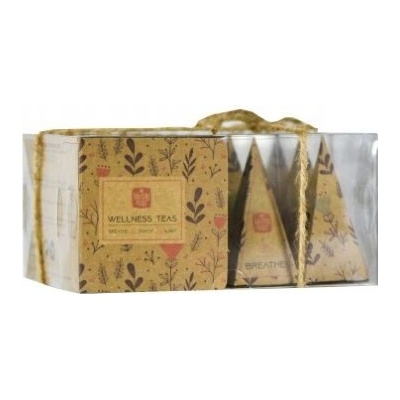 McCoy Teas dárkové balení pyramidových wellness čajů 12 x 2 g