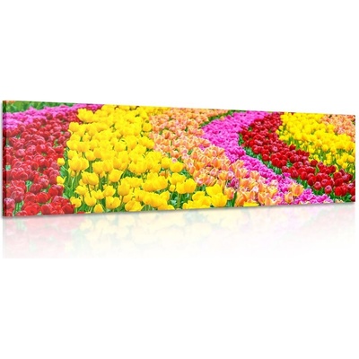 Obraz pestrobarevné tulipány - 90x30