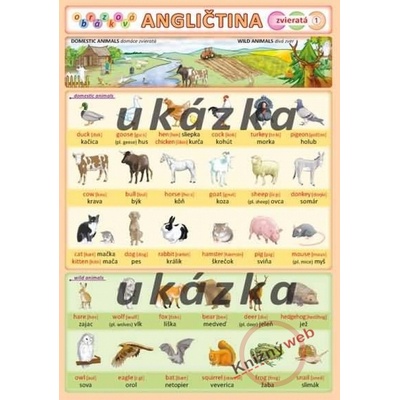 Obrázková angličtina 1 zvieratá Petr Kupka