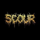 Scour Gold CD