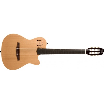 Godin MultiAc Encore