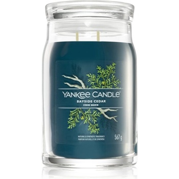 Yankee Candle Bayside Cedar ароматна свещ Signature 567 гр