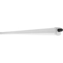PHILIPS P360119