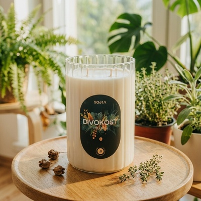 SOJKA DIVOKOST AURA 800 g