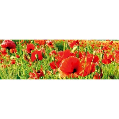 028 Samolepící fototapeta do kuchyně - Vlčí máky, 180 x 60 cm