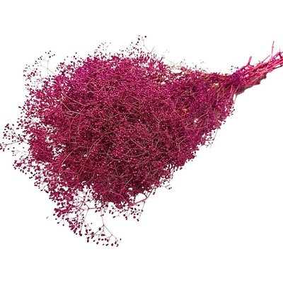 Dovoz z EU Stabilizovaná mini Gypsophila svazek/kytice purpurová/magenta 45g