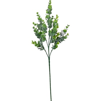 KONÁR EUCALYPTUS 57CM