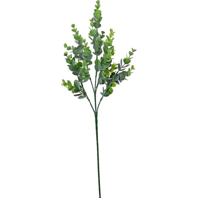 KONÁR EUCALYPTUS 57CM