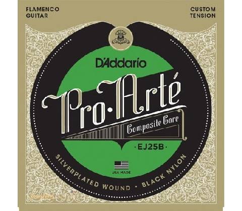 D'ADDARIO EJ25B