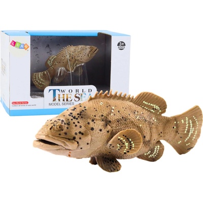 mamido ryby námorníka Goliata sivá 11 cm