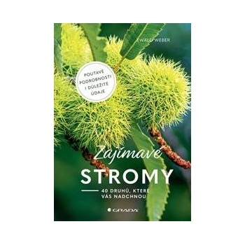 Zajímavé stromy