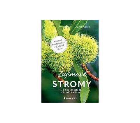 Zajímavé stromy