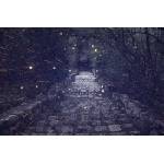 DIMEX ART Флизелинов фототапет мистериозна алея 375 x 250 см