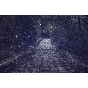 DIMEX ART Флизелинов фототапет мистериозна алея 375 x 250 см