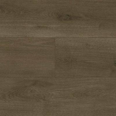 Audacity Redwood Valley EWH7006 2,49 m²
