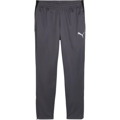 Puma IndividualLIGA Training Pants 659517-08
