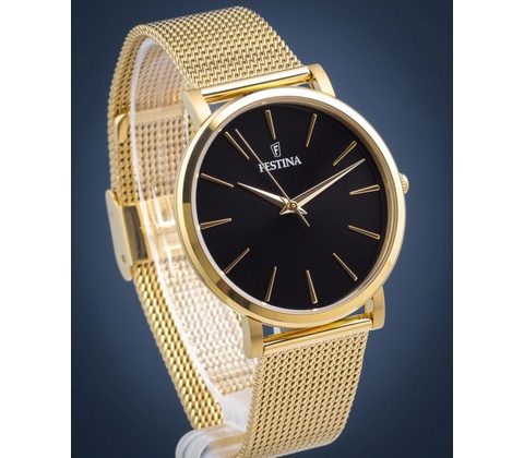 Festina 20476/2