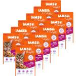 Iams Senior Cat пиле 12 x 85 г