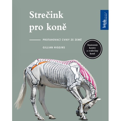 Strečink pro koně - Gillian Higginsová