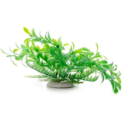 JK ANIMALS ludwigia zelená 14-17 cm