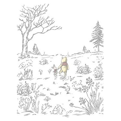 IADX4-043 Fototapeta vliesová Winnie Pooh Walk rozměry 200x280 cm