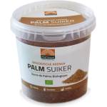 Mattisson Healthstyle Organic Arenga Palm Sugar [450 грама]