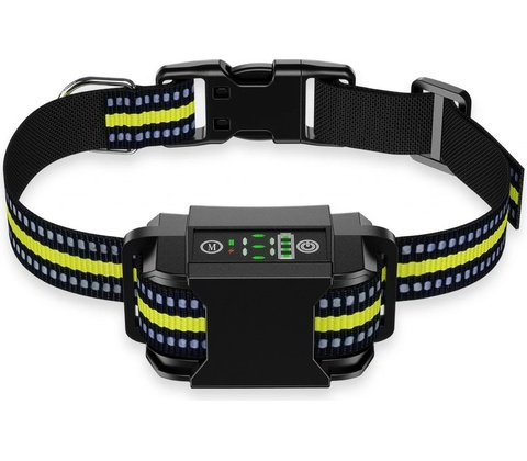 Patpet B600