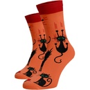 Veselé ponožky Kočky Bavlna Oranžová