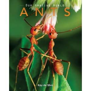 Ants: Amazing Pictures & Fun Facts on Animals in Nature | Kay De Silva (ISBN: 9781523417841)