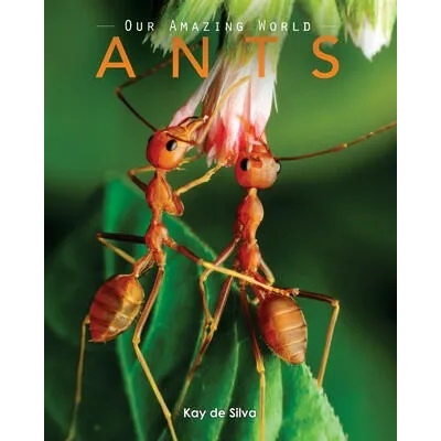 Ants: Amazing Pictures & Fun Facts on Animals in Nature | Kay De Silva