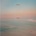 Warpaint - Radiate Like This (Pink Blossom Coloured) (LP) (0602438887897)