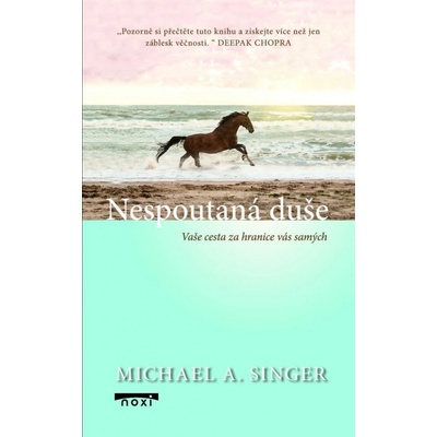 Nespoutaná duše - Vaše cesta za hranice vás samých - Michael A. Singer