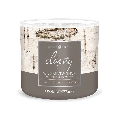 Goose Creek Candle AROMATHERAPY WILD MINT & Birch 411 g