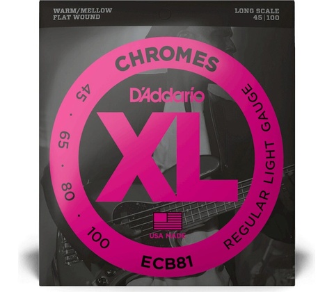 Daddario ECB81