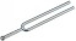 Wittner 920