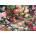 Cobble Hill - Puzzle The Garden Wall - 1 000 piese