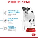 Royal Canin Mini Starter Mother&Babydog 1 kg