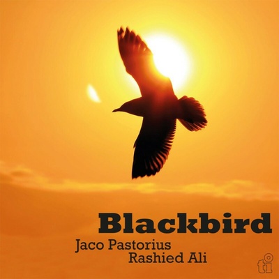 Jaco Pastorius & Rashid Ali - Blackbird LP