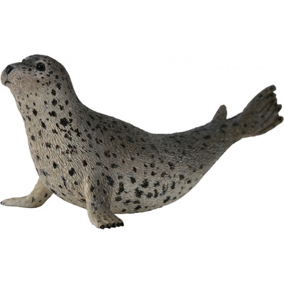 Collecta tuleň pacifický