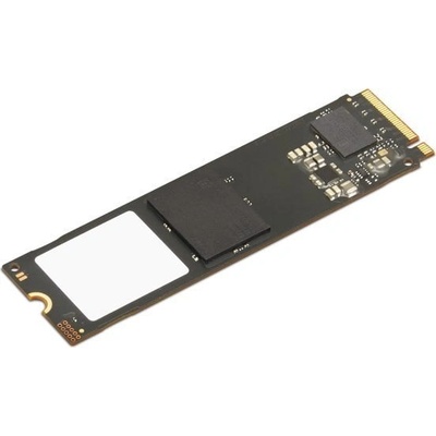 Lenovo 256GB 4XB1L68660