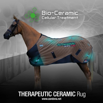 Zandona Deka terapeutická Therapeutic Ceramic