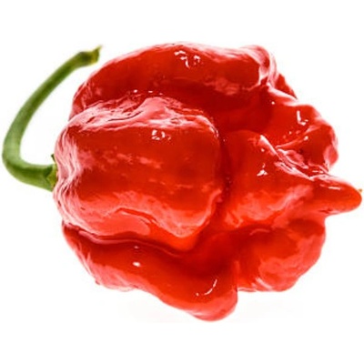 Semínka Piquant Paprička chilli TRINIDAD MORUGA SCORPION RED