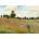 Enjoy - Puzzle Claude Monet: Poppy Field - 1 000 piese