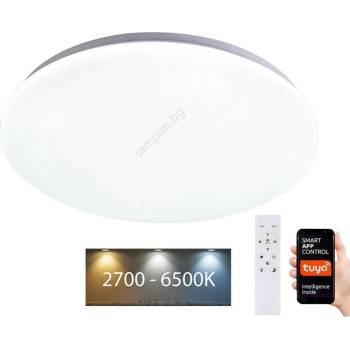 Brilagi - LED Димируем плафон SMART LED/24W/230V Wi-Fi Tuya + д. у (BG0495)