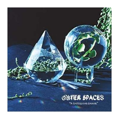 Outer Spaces - A Shedding Snake LP