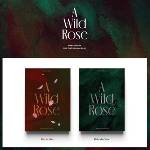 Daniel Shopping s. r. o Ryeo Wook: A Wild Rose - CD (049283)