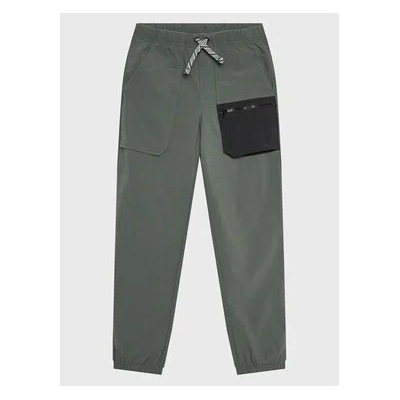 Jack Wolfskin Outdoor панталони Teen 1609861 Зелен Regular Fit (Teen 1609861)