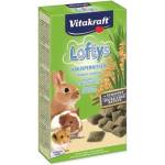 Vitakraft Лакомство Vitakraft с коприва, възглавнички 100g (495-25124)
