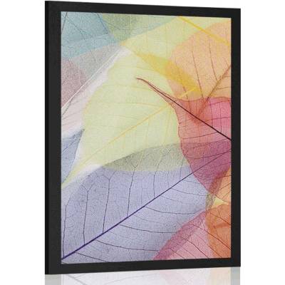 Plakát žilky na barevných listech - 20x30 black
