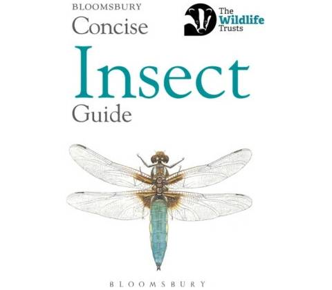 Concise Insect Guide - Bloomsbury